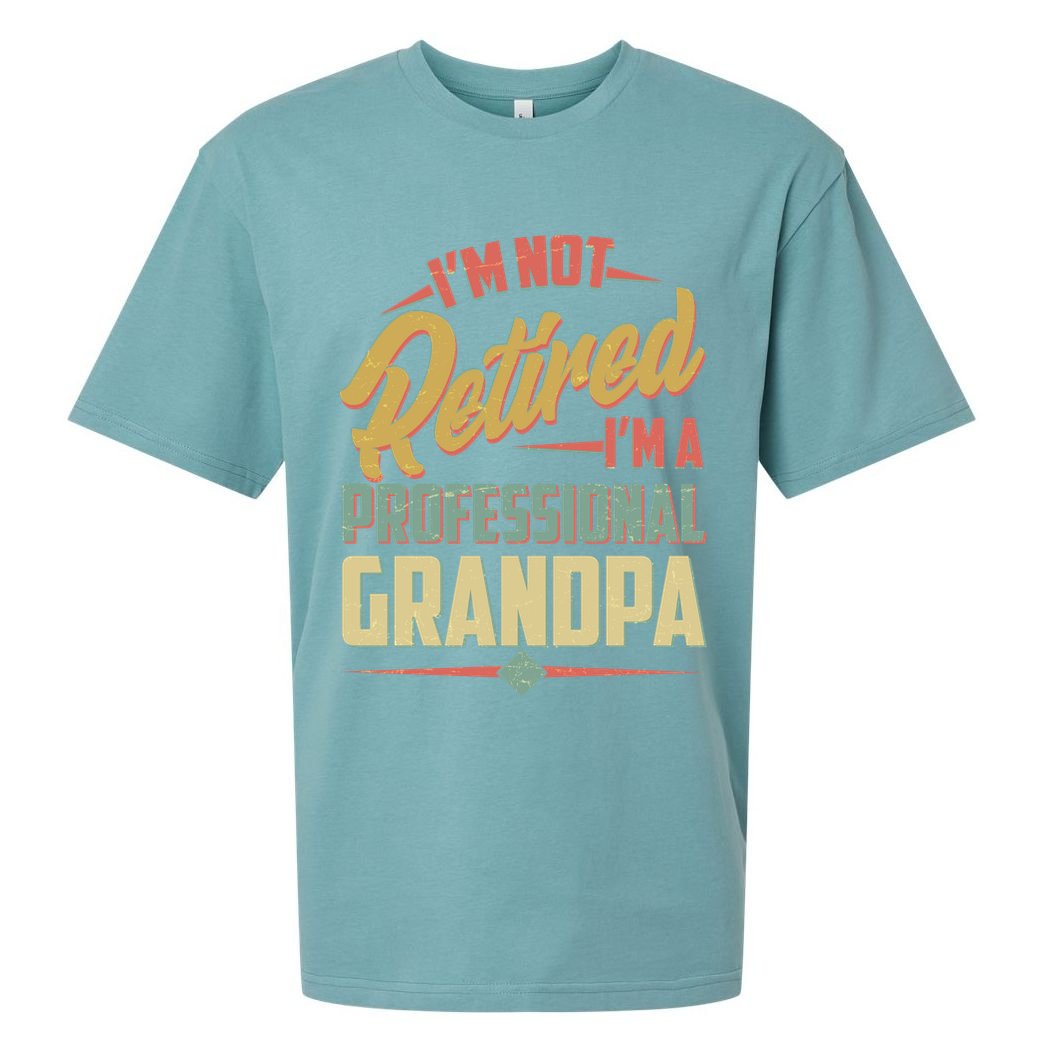 I'm Not Retired I'm A Professional Grandpa Vintage Sueded Cloud Jersey T-Shirt