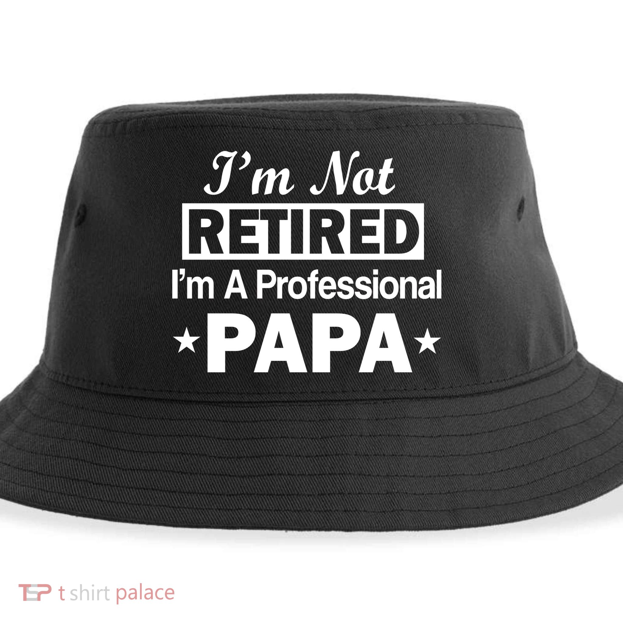 I'm Not Retired I'm A Professional Papa Sustainable Bucket Hat