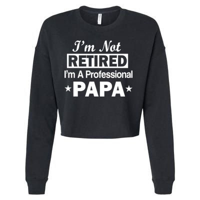 I'm Not Retired I'm A Professional Papa Cropped Pullover Crew