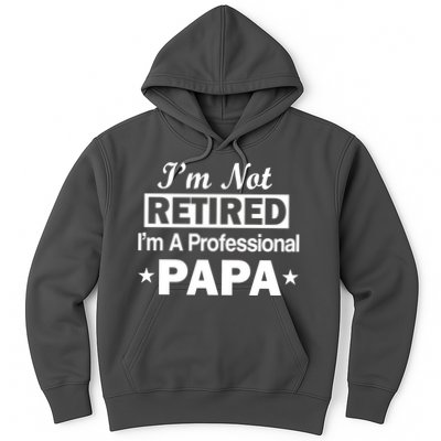 I'm Not Retired I'm A Professional Papa Hoodie