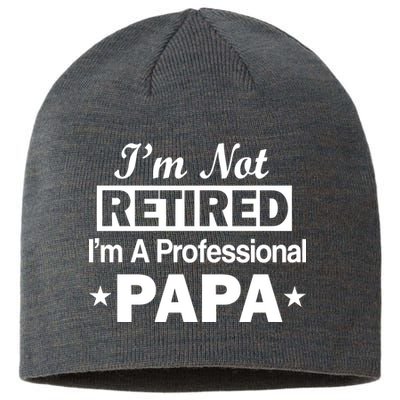 I'm Not Retired I'm A Professional Papa Sustainable Beanie