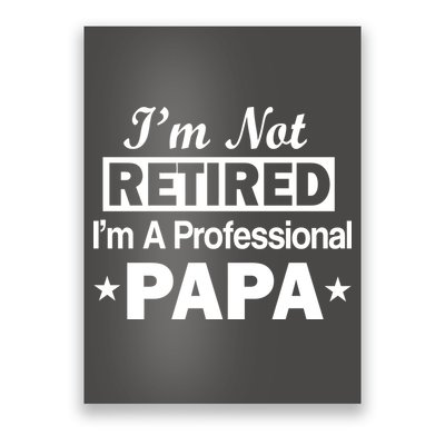 I'm Not Retired I'm A Professional Papa Poster