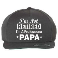 I'm Not Retired I'm A Professional Papa Wool Snapback Cap