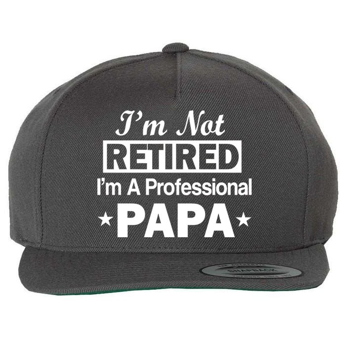 I'm Not Retired I'm A Professional Papa Wool Snapback Cap