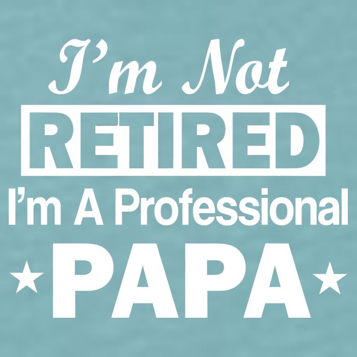 I'm Not Retired I'm A Professional Papa Sueded Cloud Jersey T-Shirt