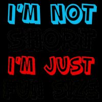 I'm Not Short I'm Just Fun Size 16oz Travel Tumbler