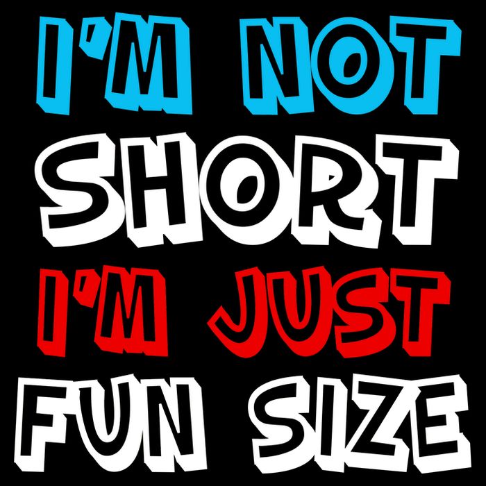 I'm Not Short I'm Just Fun Size Poster