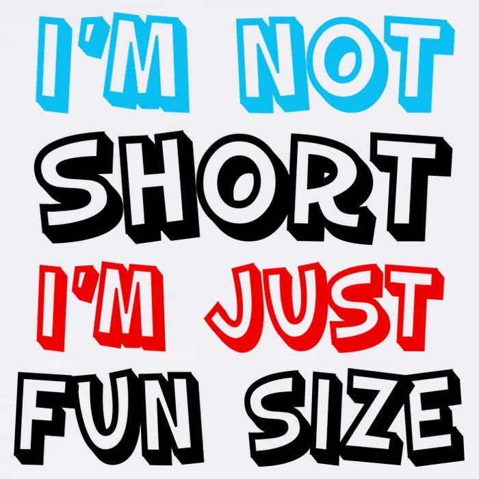 I'm Not Short I'm Just Fun Size Garment-Dyed Sweatshirt