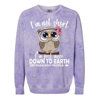 I'm Not Short I'm Just More Down To Earth Owl Colorblast Crewneck Sweatshirt