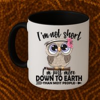 I'm Not Short I'm Just More Down To Earth Owl Mug