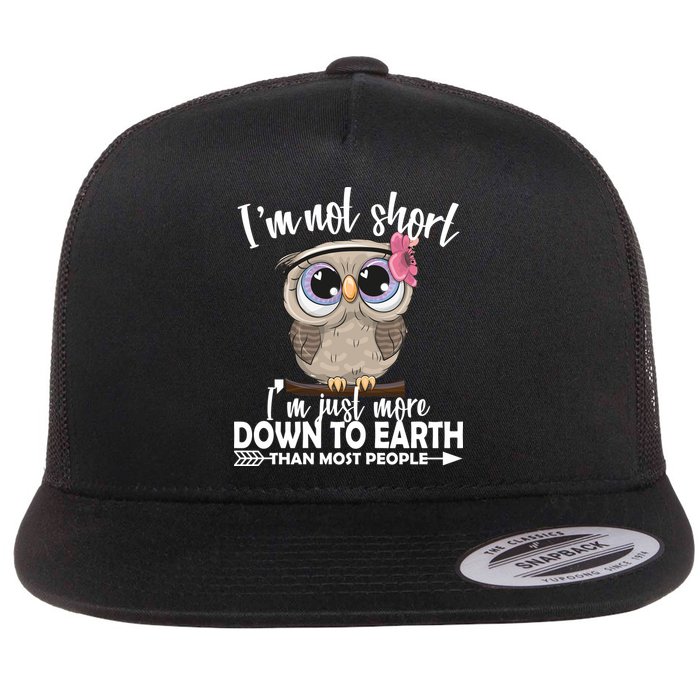 I'm Not Short I'm Just More Down To Earth Owl Flat Bill Trucker Hat