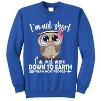 I'm Not Short I'm Just More Down To Earth Owl Sweatshirt