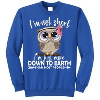 I'm Not Short I'm Just More Down To Earth Owl Tall Sweatshirt