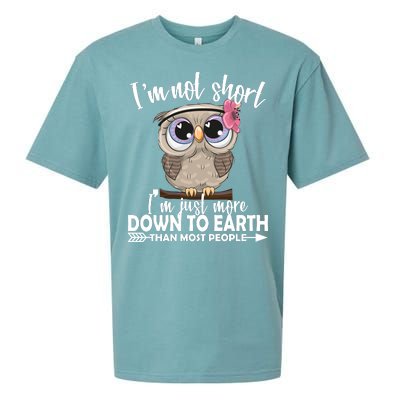 I'm Not Short I'm Just More Down To Earth Owl Sueded Cloud Jersey T-Shirt