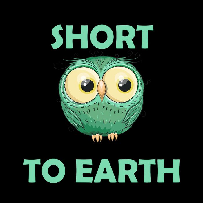 I'm Not Short Just Down To Earth Mug