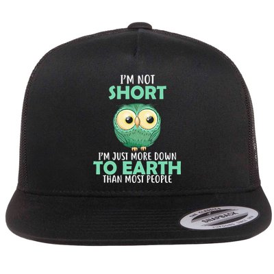 I'm Not Short Just Down To Earth Flatbill Hat