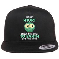 I'm Not Short Just Down To Earth Flat Bill Trucker Hat