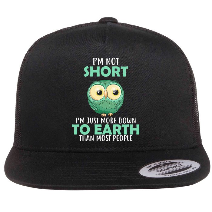 I'm Not Short Just Down To Earth Flat Bill Trucker Hat
