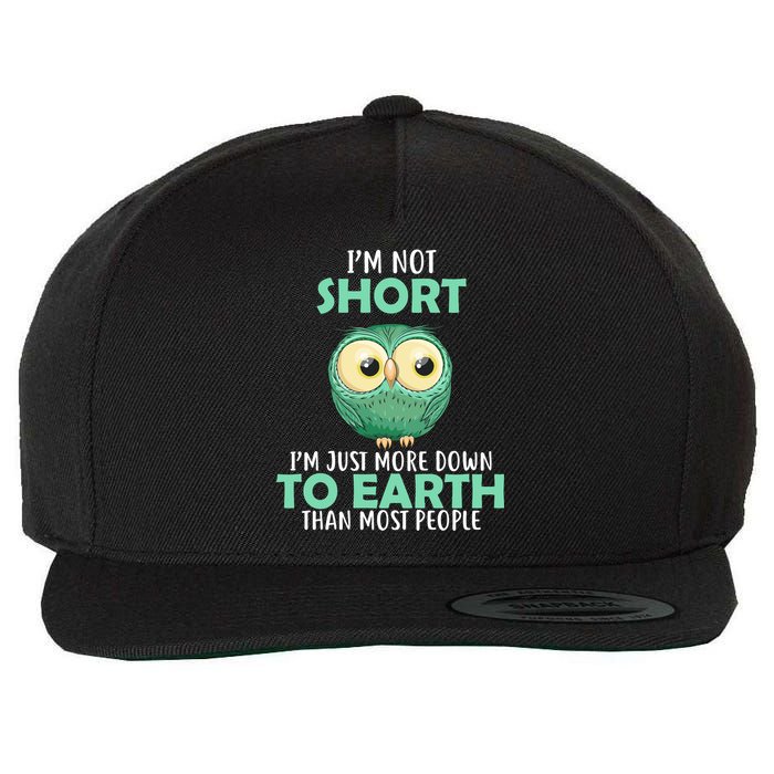 I'm Not Short Just Down To Earth Wool Snapback Cap
