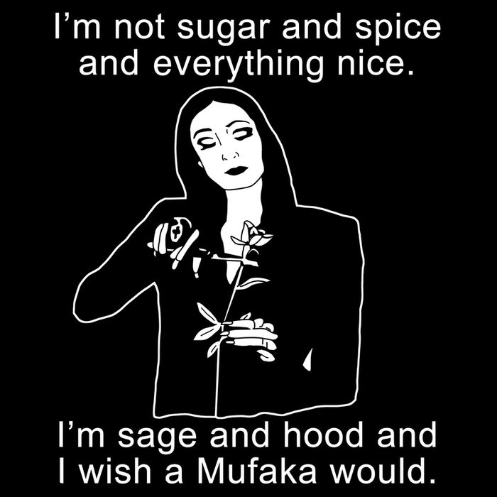 I'm Not Sugar And Spice Funny Meme Cropped Pullover Crew