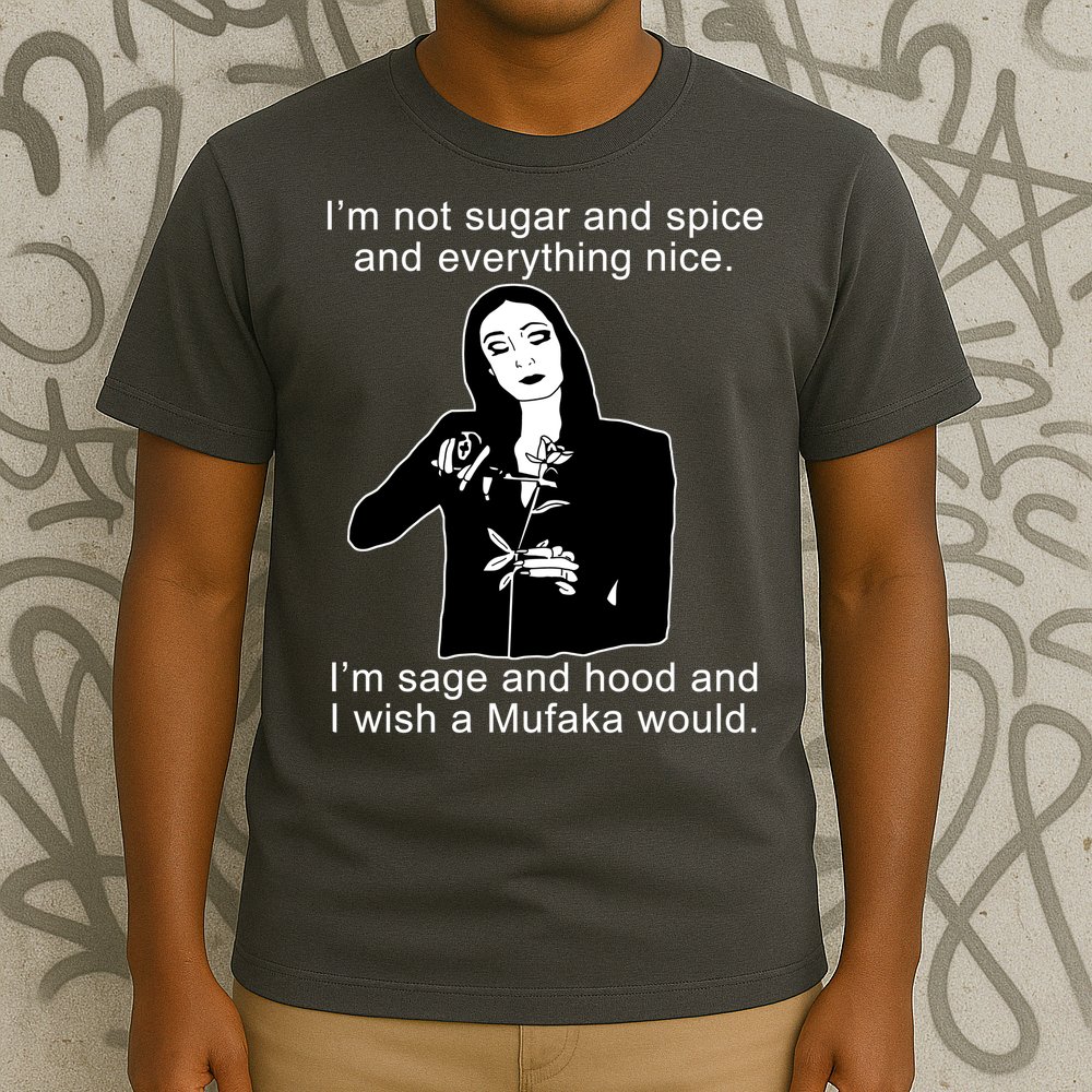 I'm Not Sugar And Spice Funny Meme T-Shirt