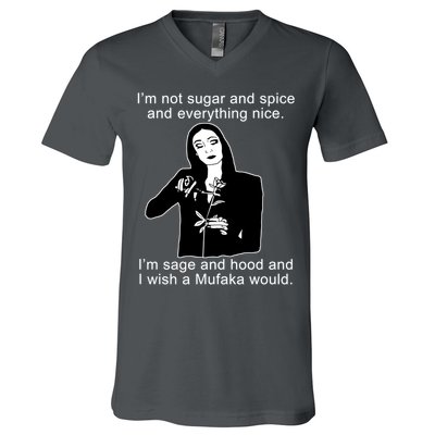 I'm Not Sugar And Spice Funny Meme V-Neck T-Shirt