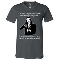 I'm Not Sugar And Spice Funny Meme V-Neck T-Shirt