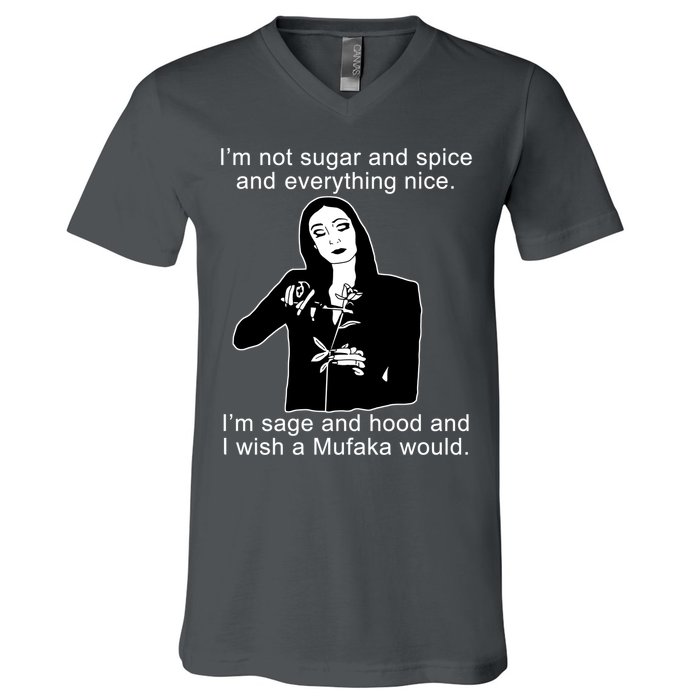 I'm Not Sugar And Spice Funny Meme V-Neck T-Shirt