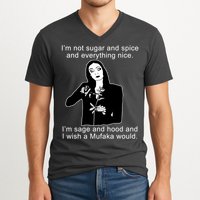 I'm Not Sugar And Spice Funny Meme V-Neck T-Shirt