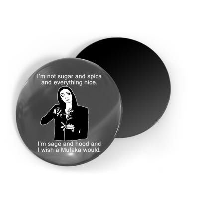 I'm Not Sugar And Spice Funny Meme Magnet