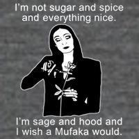 I'm Not Sugar And Spice Funny Meme Magnet