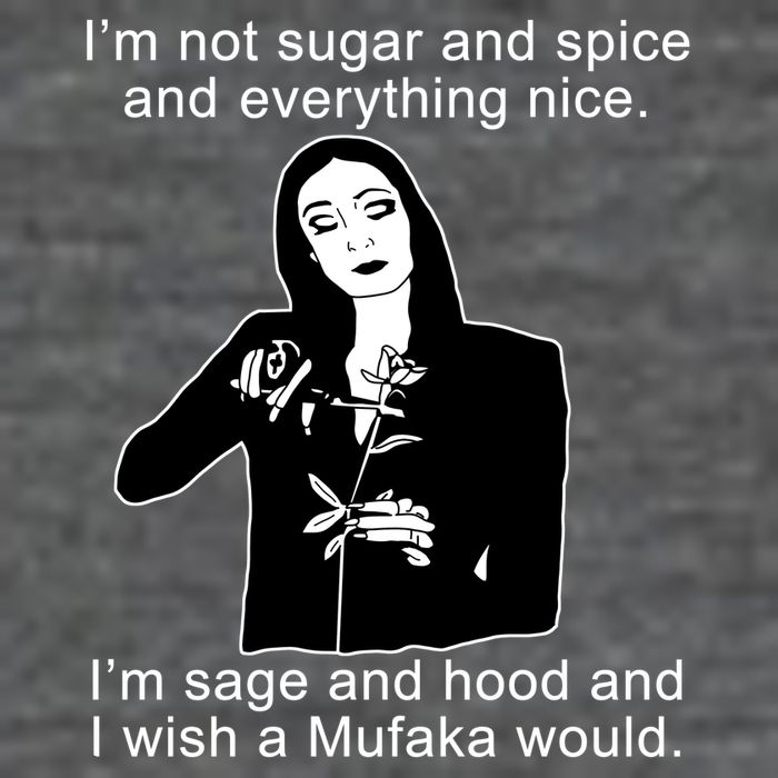 I'm Not Sugar And Spice Funny Meme Magnet