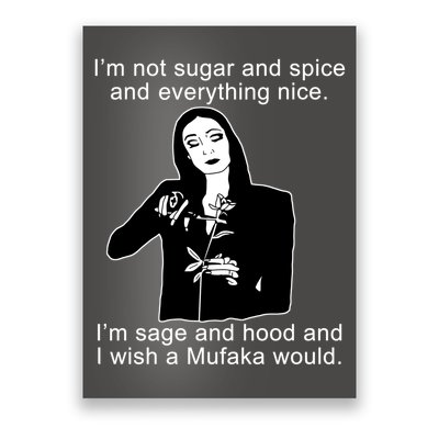 I'm Not Sugar And Spice Funny Meme Poster