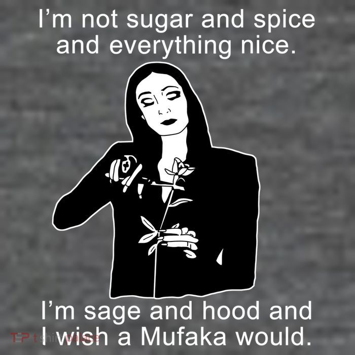 I'm Not Sugar And Spice Funny Meme Poster