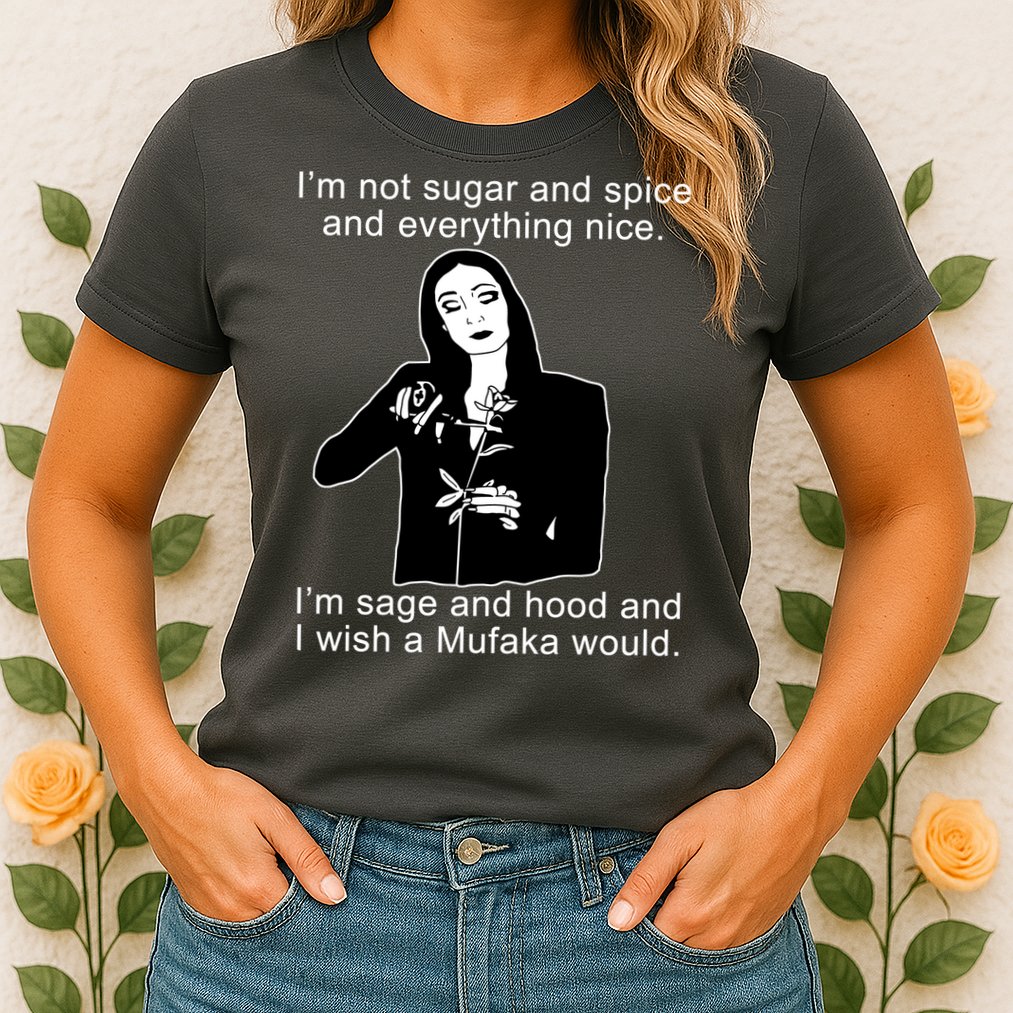 I'm Not Sugar And Spice Funny Meme Womens T-Shirt