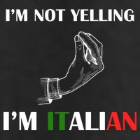 I'm Not Yelling I'm Italian 15oz Campfire Ceramic Mug