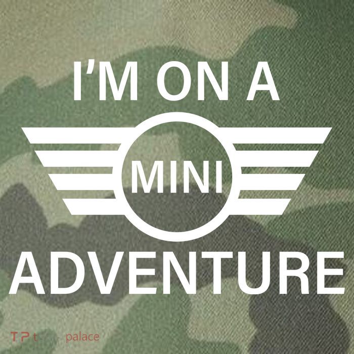 I'm On A Mini Adventure Legacy Tie Dye Trucker Hat