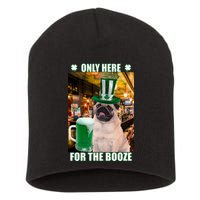 I'm Only Here for the Booze Beer Pug St. Patrick's Day Short Acrylic Beanie