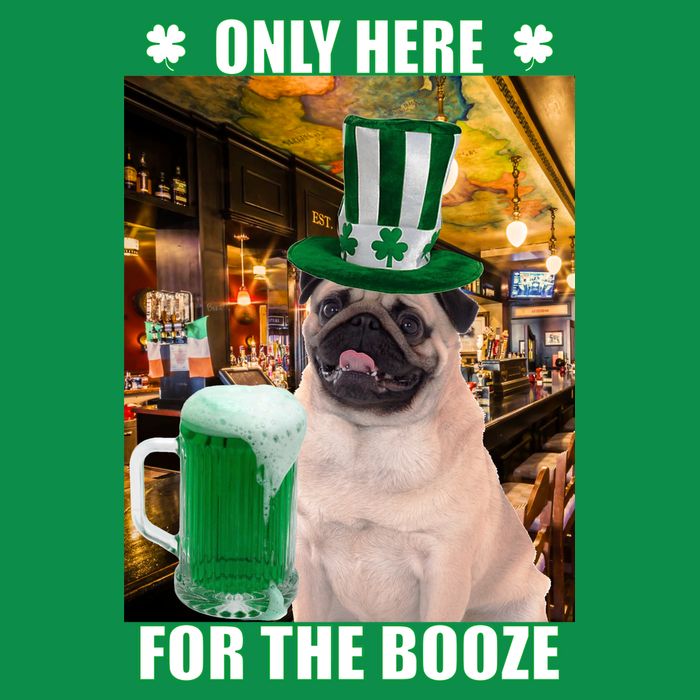 I'm Only Here for the Booze Beer Pug St. Patrick's Day Premium T-Shirt