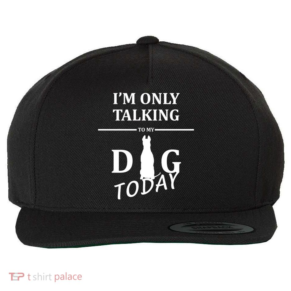 I'm Only Talking To My Dog Today Funny Wool Snapback Cap