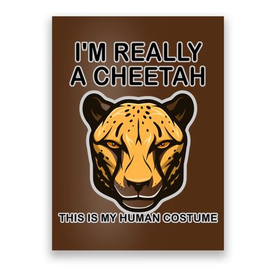 I'm Really A Cheetah Human Costume Poster