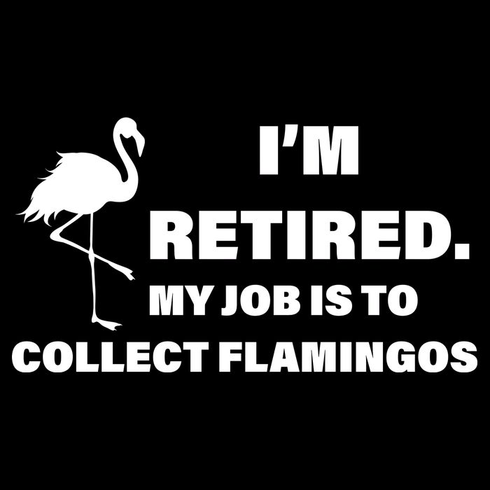 I'm Retired My Job Is To Collect Flamingos Bucket Hat