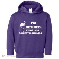 I'm Retired My Job Is To Collect Flamingos Toddler Hoodie