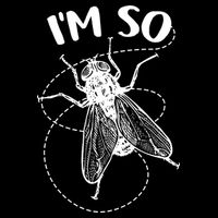 I'm So Fly Button