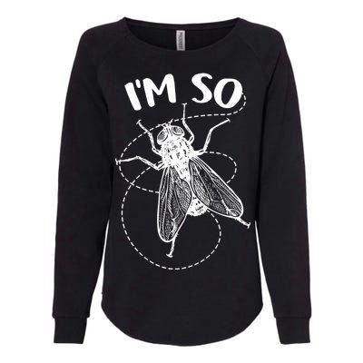 I'm So Fly Womens California Wash Sweatshirt