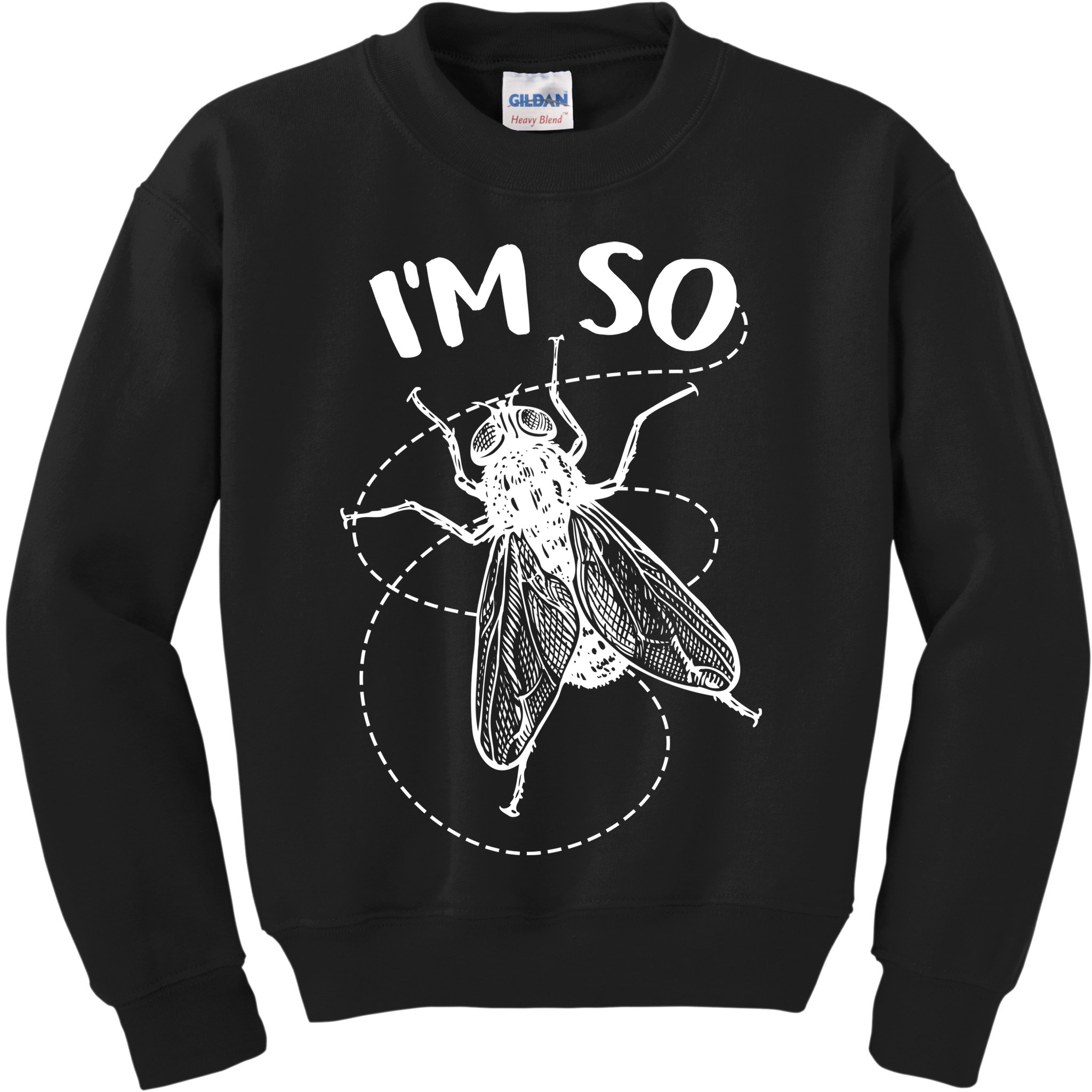 I'm So Fly Kids Sweatshirt
