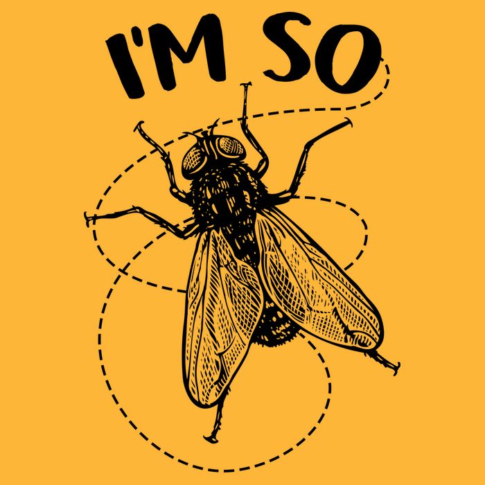 I'm So Fly Premium T-Shirt