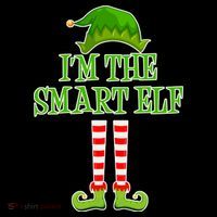 I'm The Smart Elf Matching Family Christmas Short Acrylic Beanie