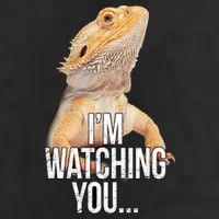 I'm watching you... Adult Drive Performance Visor