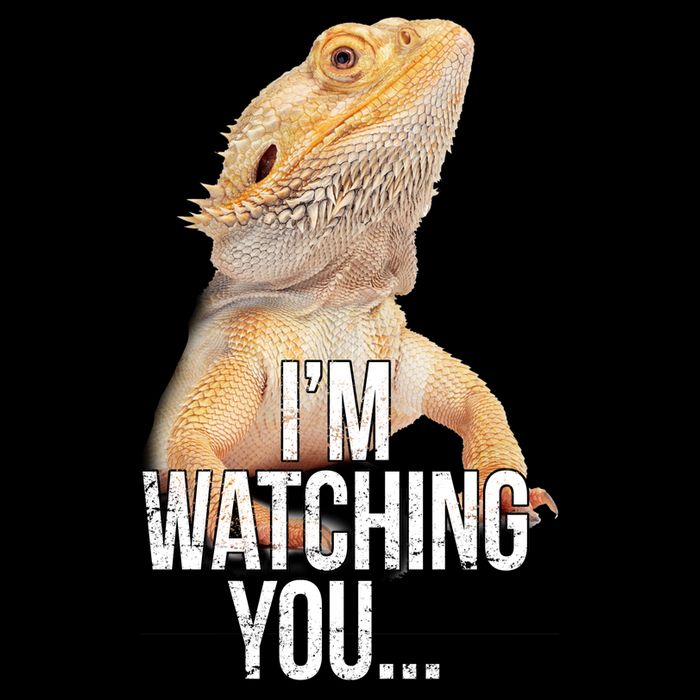 I'm watching you... Toddler Long Sleeve Shirt